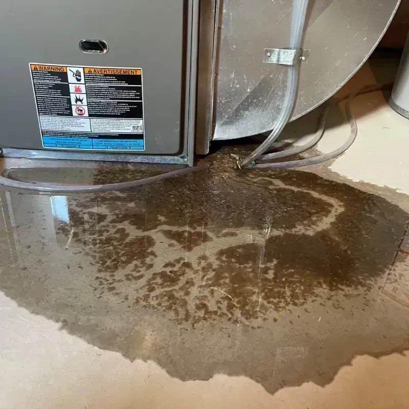 Appliance Leak Cleanup in Massac County, IL